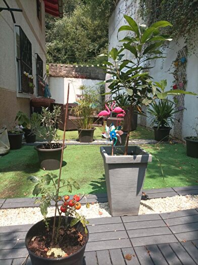 Piso de 3 habitaciones en venta en Pasaia, Gipuzkoa