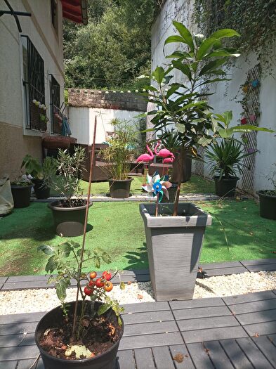 Piso de 3 habitaciones en venta en Pasaia, Gipuzkoa