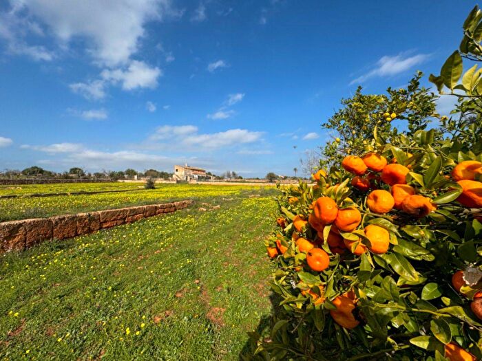 Casa en venta en Illes Balears, Islas Baleares