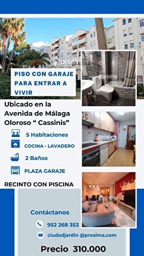 Piso en venta de 5 habitaciones: Ciudad Jardín, Cortijo Bazán Los Casinis Los Cipreses