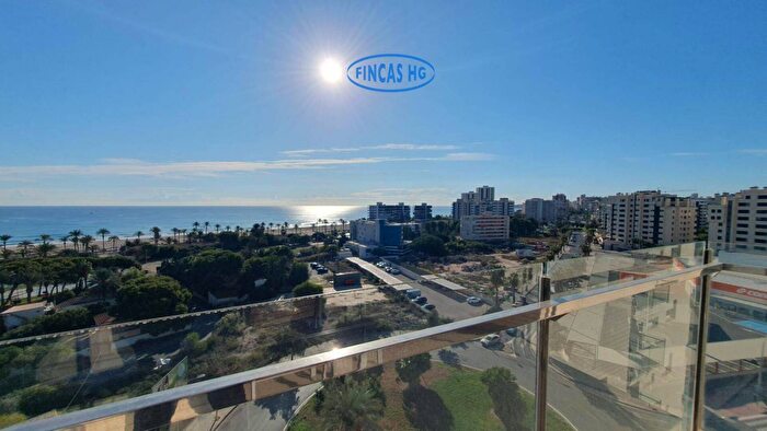 Comunitat Valenciana, Alicante: Piso en venta de 1 habitación