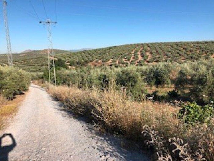 Casa en venta: Andalucía, Granada