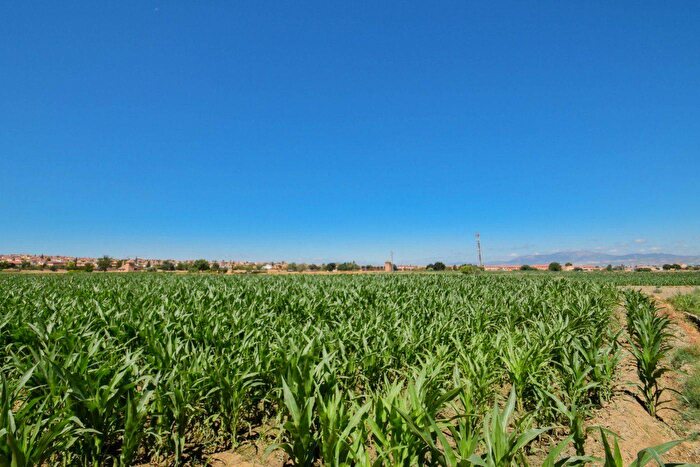 Casa en venta en Cúllar Vega, Andalucía